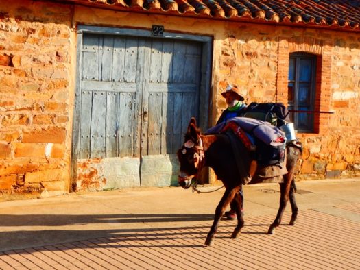 Camino De Santiago De Compostela Desde Colombia Ecoglobal Expeditions