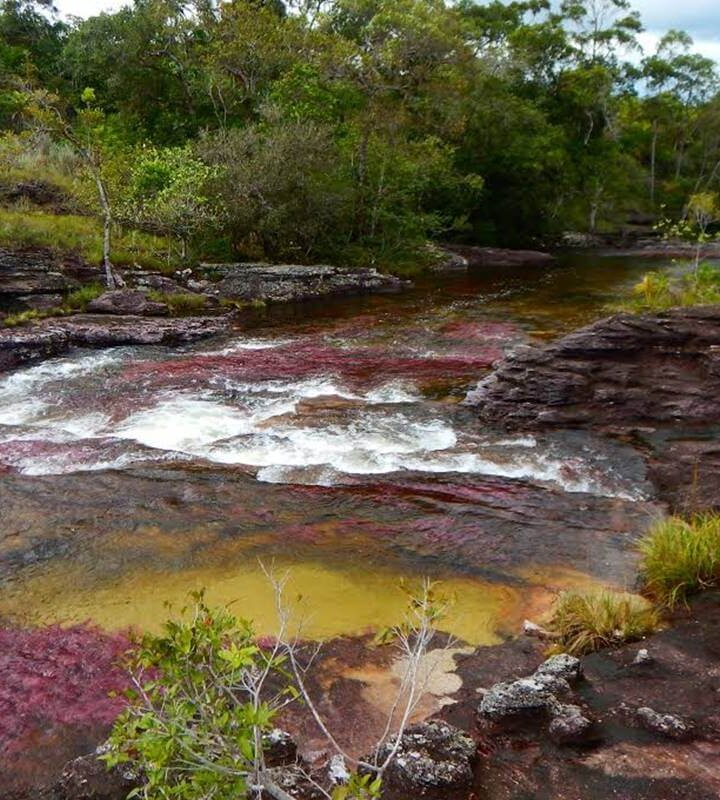 Caño Cristales