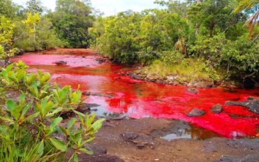 Imagen de cabecera de Acerca de Colombia