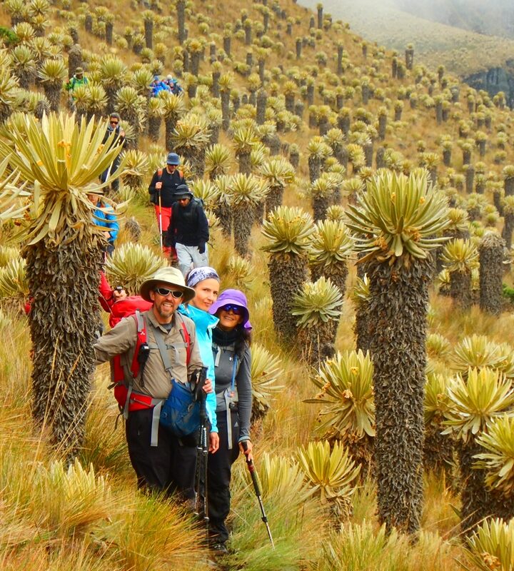 Parques Nacionales Naturales