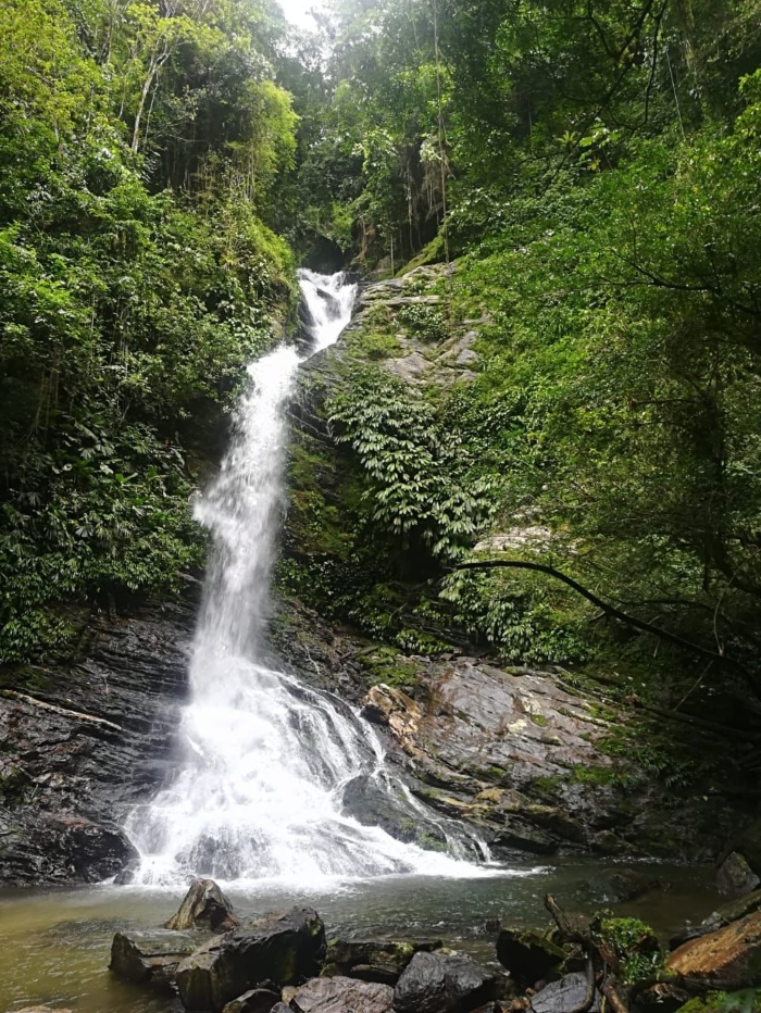 Ciudad Perdida