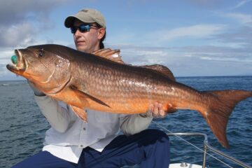 Pesca-en-Bahia-Solano-en-el-pacifico-colombiano-ecoturismo-colombia