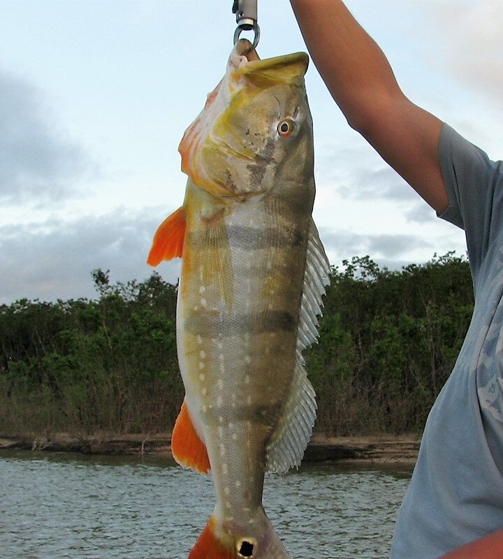 Pesca-en-el-rio-bita-ecoturismo-colombia