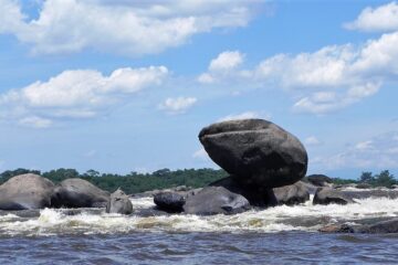 Expediciones al Parque Nacional Natural El Tuparro en el Vichada