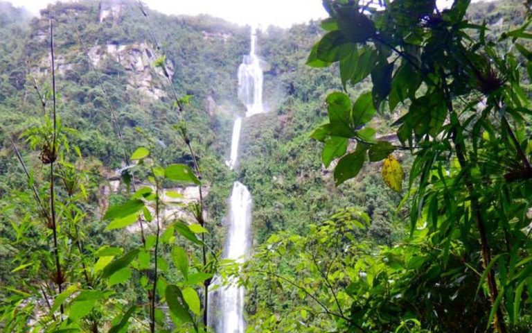 Caminata-Ecologica-a-la-cascada-La-Chorrera-Ecoturismocolombia