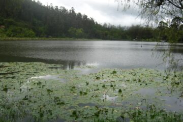 Pueblo Viejo - Ubaque