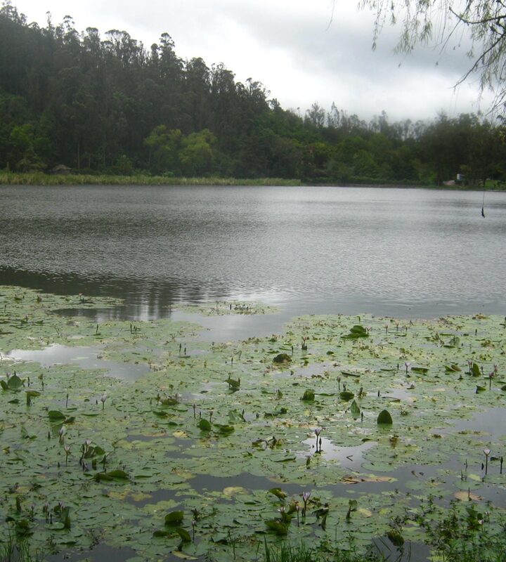 Pueblo Viejo - Ubaque