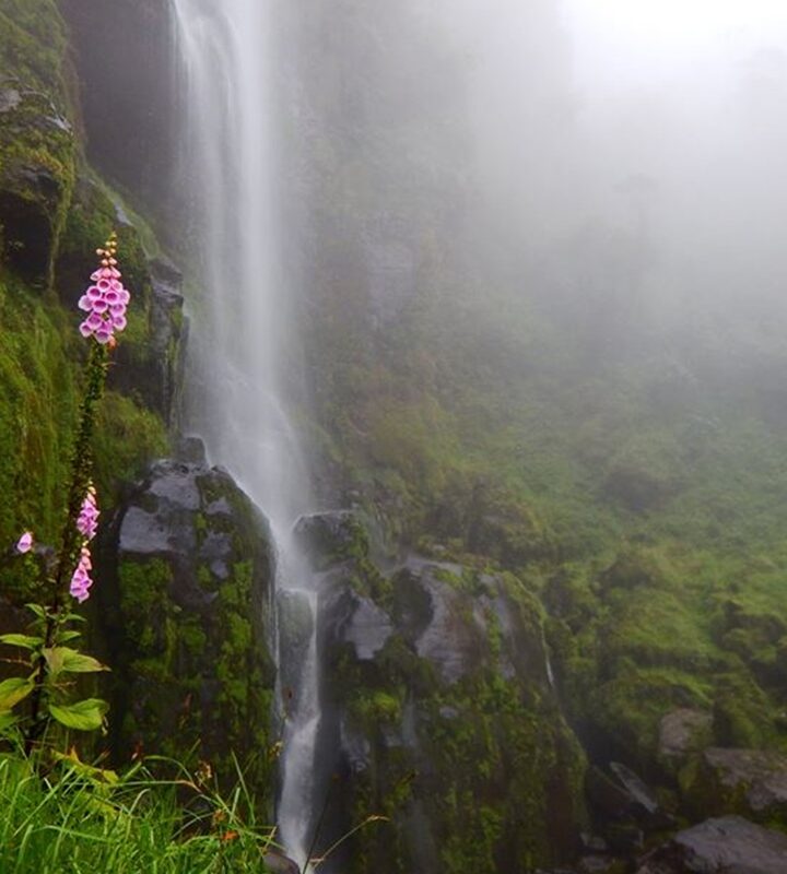 Caminata_Ecológica Gran_Chorro de_Plata