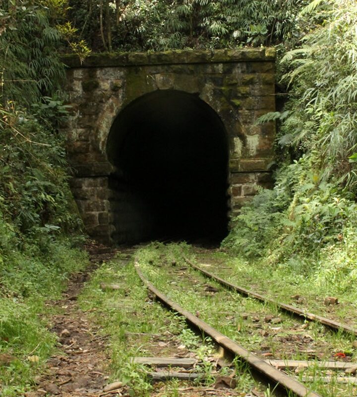 Caminata_Ecológica Túnel de_Sebastopol