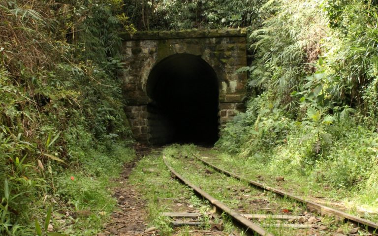 Caminata_Ecológica Túnel de_Sebastopol