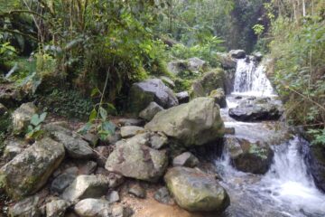 Caminata Ecológica a la Laguna Encantada en la Estrella (Antioquia)
