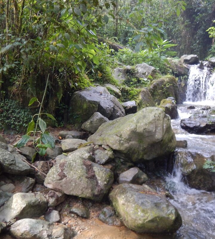 Caminata Ecológica a la Laguna Encantada en la Estrella (Antioquia)