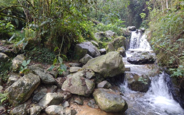 Caminata Ecológica a la Laguna Encantada en la Estrella (Antioquia)