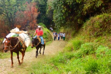 Caminata_Ecológica Fredonia_Venecia (Antioquia)