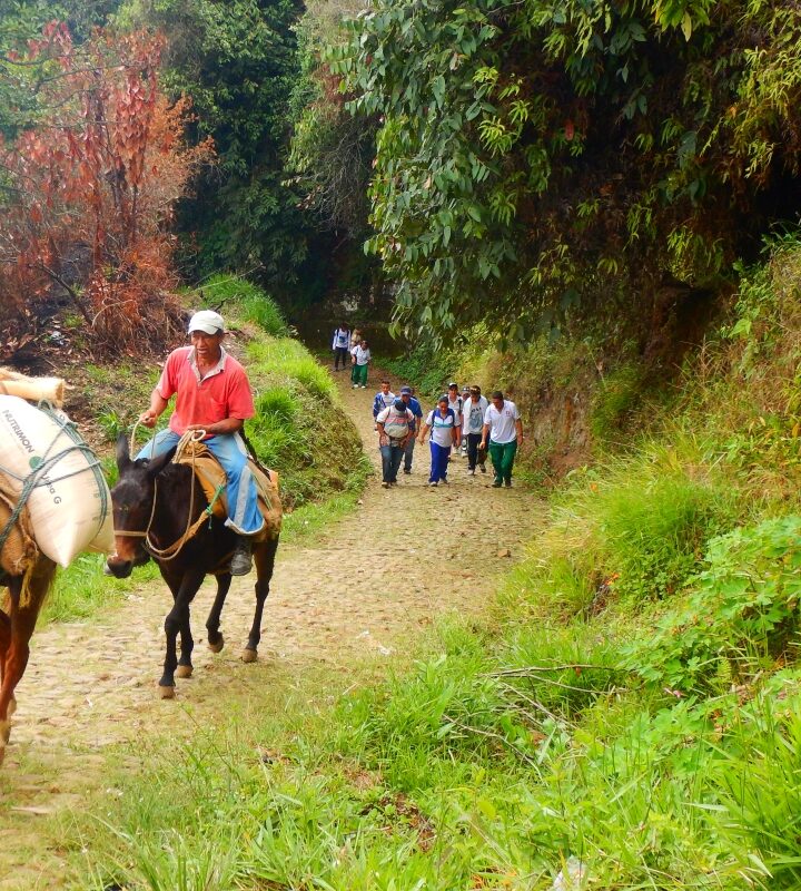 Caminata_Ecológica Fredonia_Venecia (Antioquia)