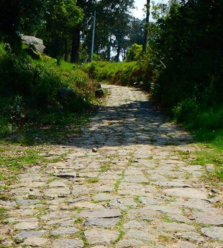 Caminata_Ecológica Camino_Real_Guayabal_de_Síquima Albán
