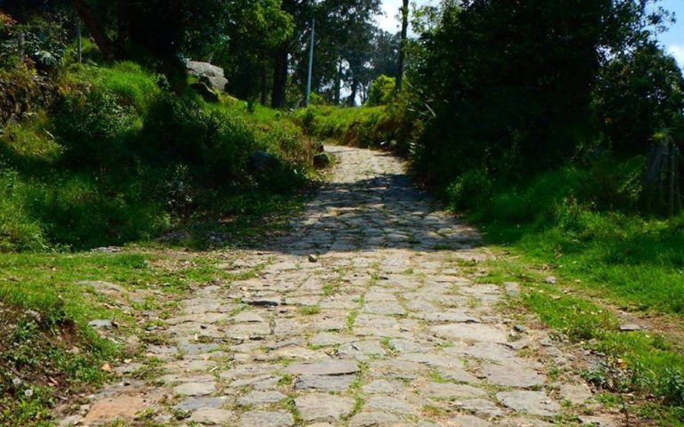Caminata_Ecológica Camino_Real_Guayabal_de_Síquima Albán