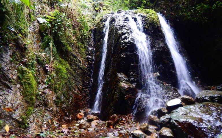 Caminata-Ecologica-Ruta-de-los-Helechos-(Antioquia)-Ecoturismocolombia