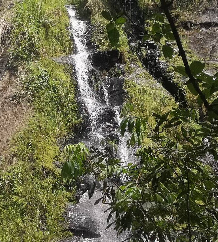 Caminata Ecológica La Esperanza
