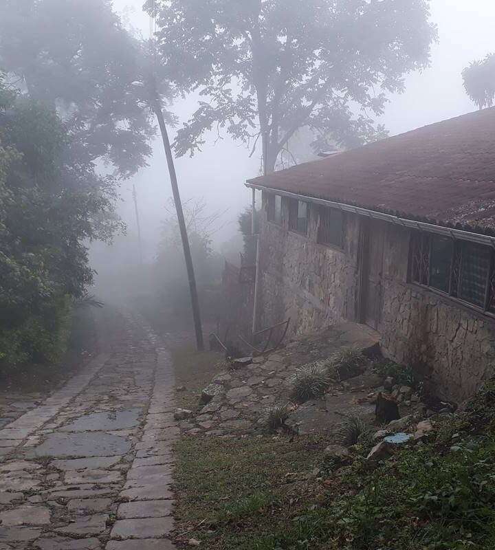 Caminata_Ecológica Camino_Real El_Ocaso_Bojacá