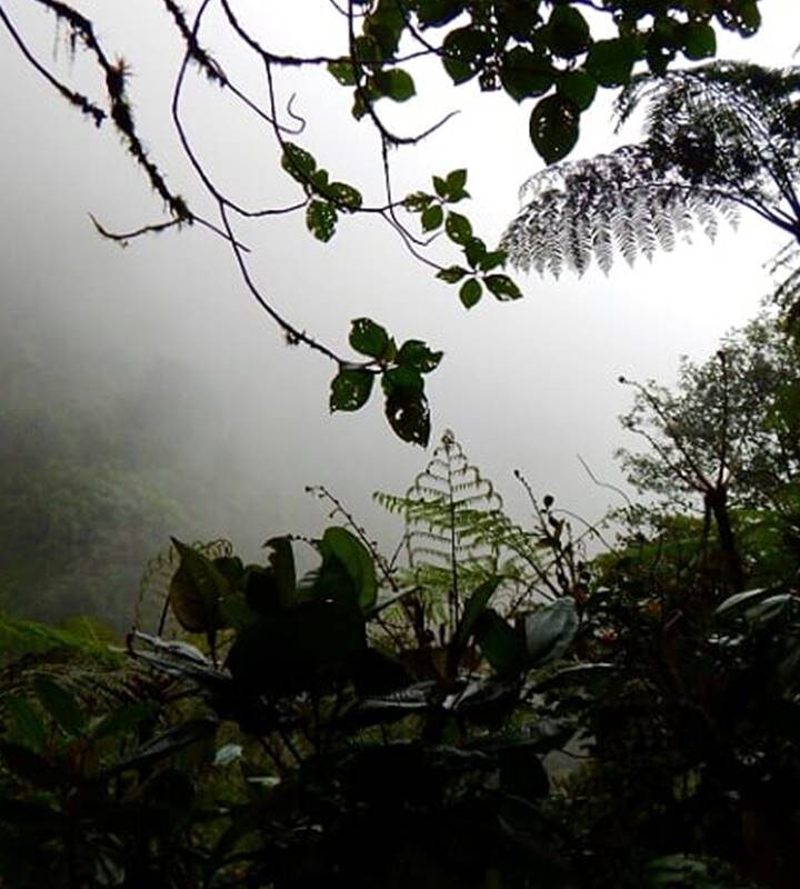 Caminata_Ecológica_Choachí Cascada_El Chiflón Alto_Gervasio