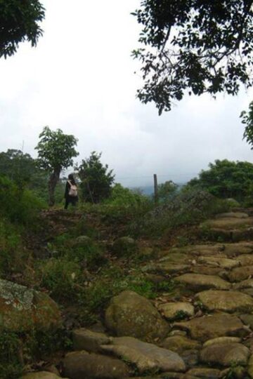 Caminata Ecólogica a “La Capital de la Mora” desde Anapoima