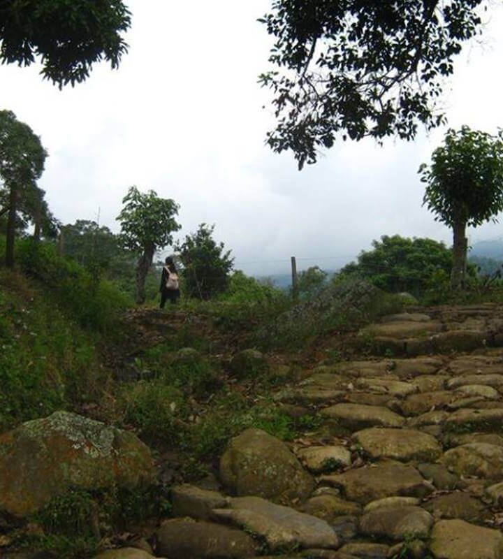 Caminata Ecólogica a “La Capital de la Mora” desde Anapoima