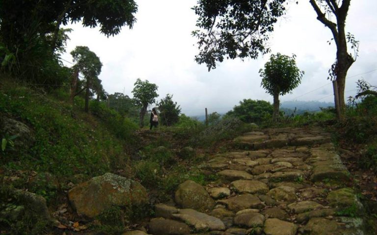 Caminata Ecólogica a “La Capital de la Mora” desde Anapoima
