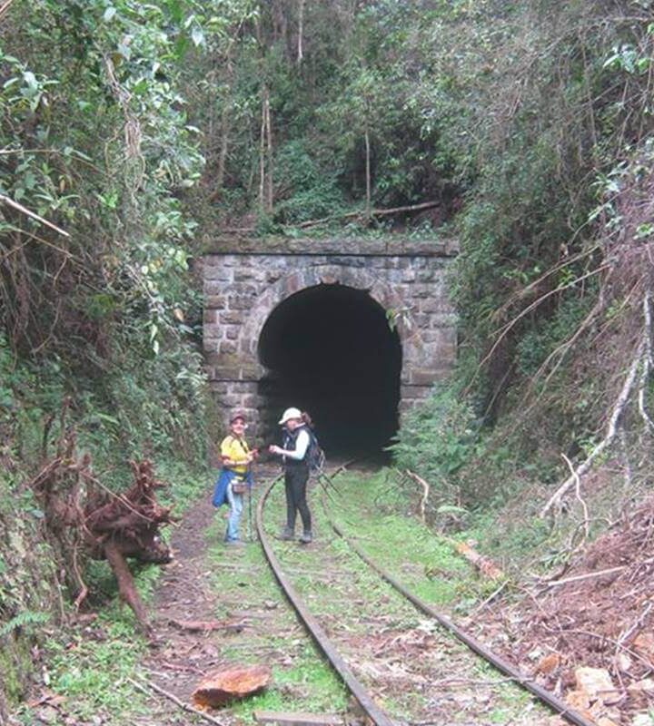 Caminata-Ecologica-El-Ocaso-Zipacon-Ecoturismocolombia