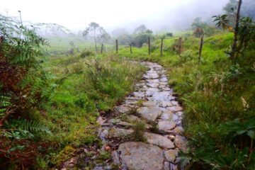 Parque_Natural Reserva San_Rafael