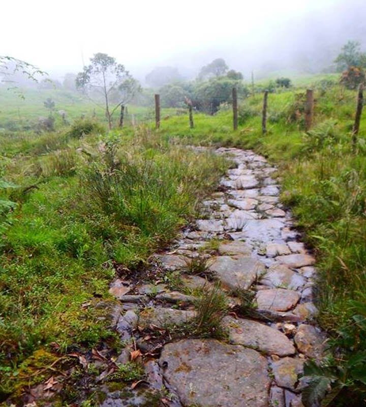 Parque_Natural Reserva San_Rafael