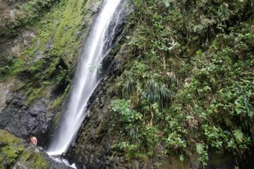 Caminata Tena Cascada_El_Tambo Puerto_Araújo