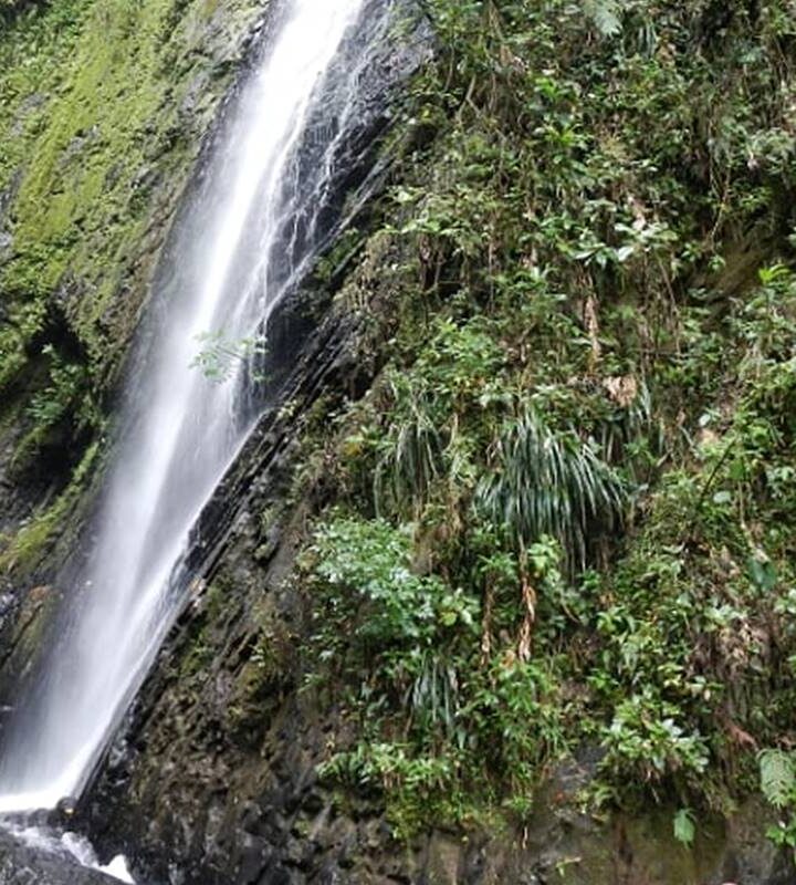 Caminata Tena Cascada_El_Tambo Puerto_Araújo