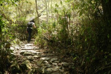 Caminata_Ecológica_Tena San_Antonio_del_Tequendama Kilómetro_Vertical