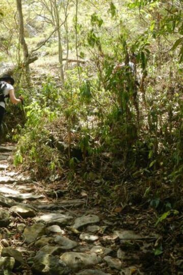 Caminata_Ecológica_Tena San_Antonio_del_Tequendama Kilómetro_Vertical