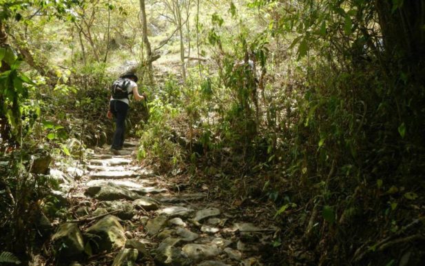 Caminata_Ecológica_Tena San_Antonio_del_Tequendama Kilómetro_Vertical