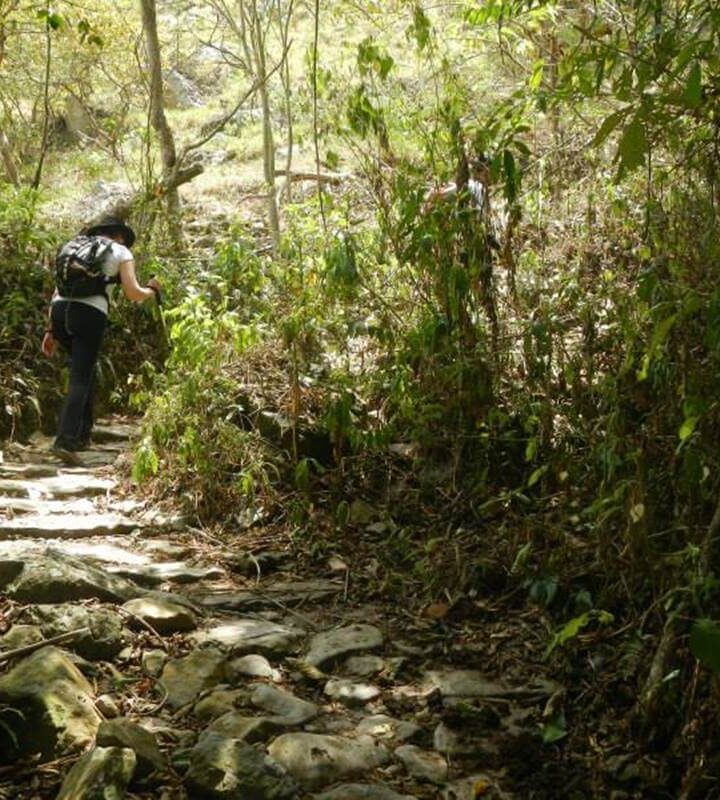 Caminata_Ecológica_Tena San_Antonio_del_Tequendama Kilómetro_Vertical
