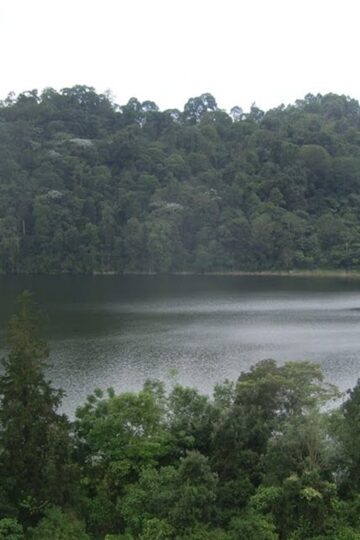 Laguna de Pedro Palo