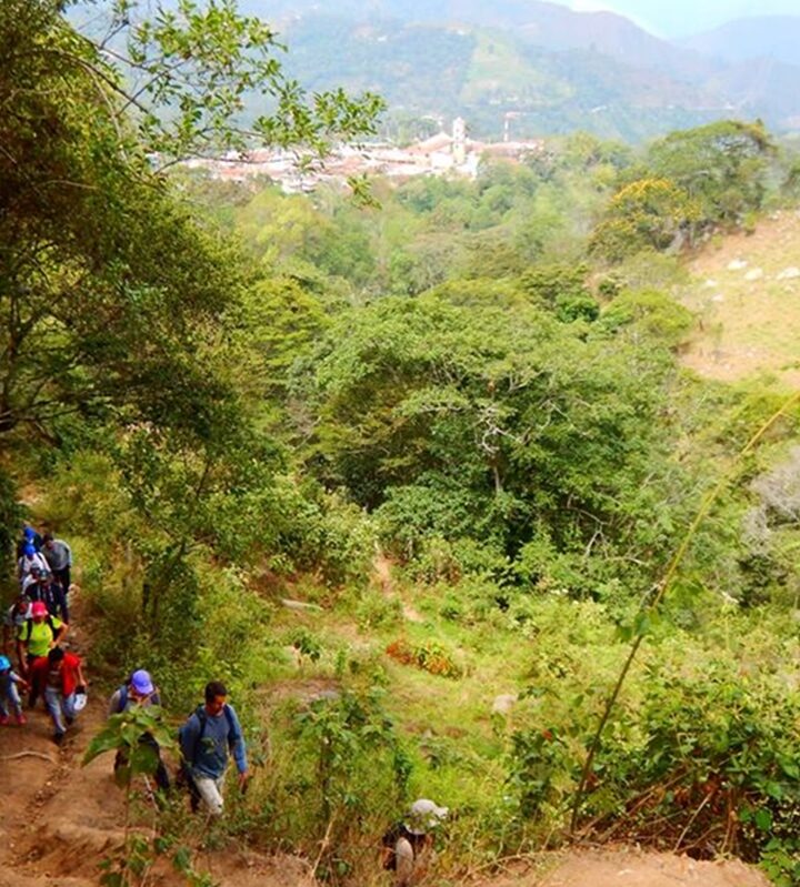 Caminata-ecologica-el-Piñal-Guayabal-de-Siquima-ecoturismo-colombia