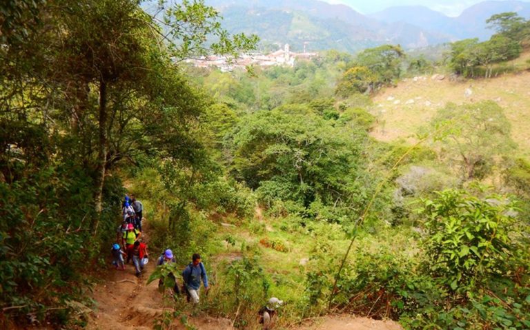 Caminata-ecologica-el-Piñal-Guayabal-de-Siquima-ecoturismo-colombia