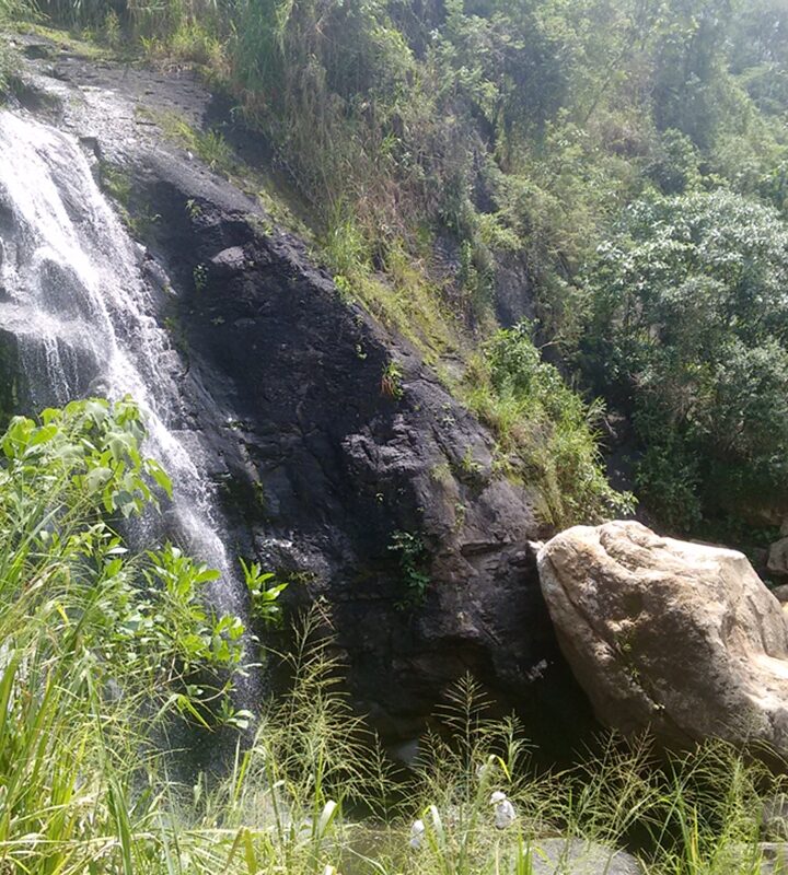 Caminata-ecologica-Salto-de-las-Monjas-Cundinamarca-ecoturismo-colombia