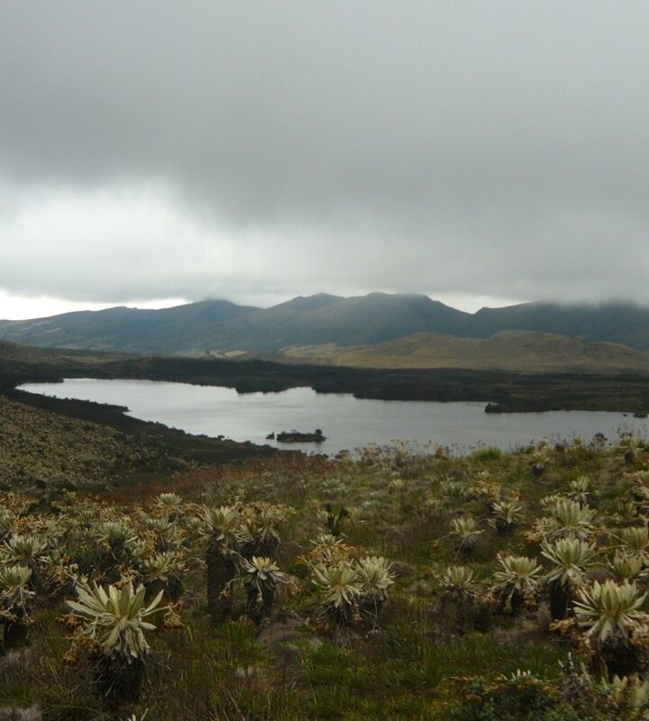 Caminata-ecologica-Laguna-Panda-Cundinamarca-ecoturismo-colombia