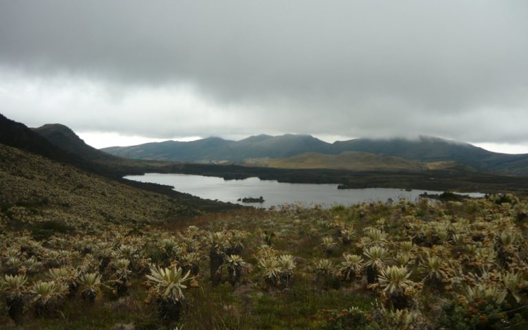 Caminata-ecologica-Laguna-Panda-Cundinamarca-ecoturismo-colombia