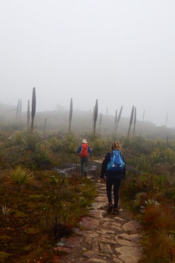 Caminata_Ecológica Cerro Pan_de_Azúcar