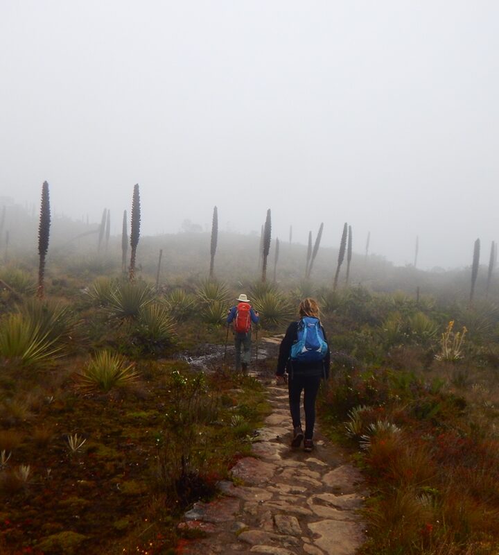 Caminata_Ecológica Cerro Pan_de_Azúcar