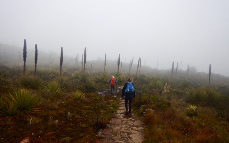 Caminata_Ecológica Cerro Pan_de_Azúcar
