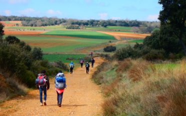 Camino de Santiago