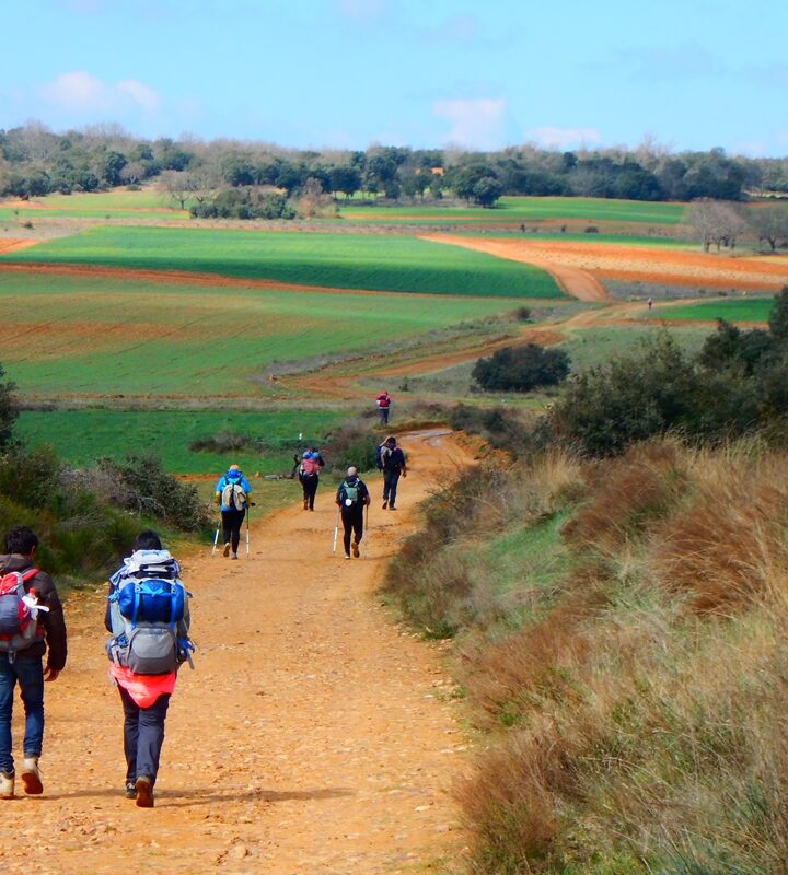 Camino de Santiago