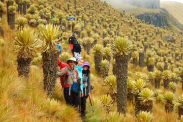 Imagen de la actividad Caminatas ecológicas de un día