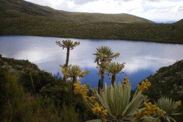 Caminatas- Ecológicas -en -Bogotá- Cundinamarca-ecoturismo-colombia